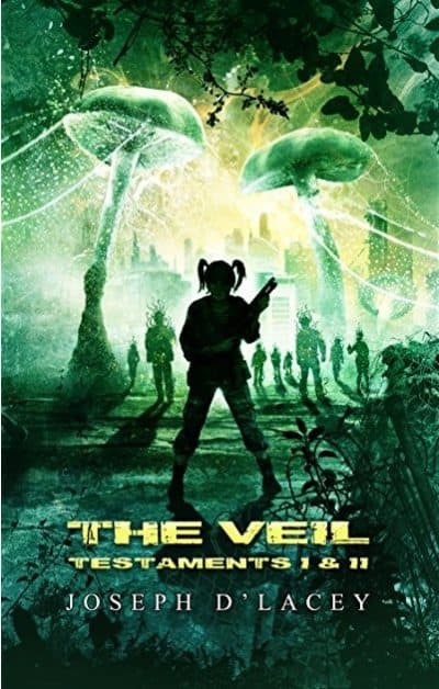 Cover for The Veil