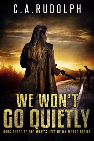 Cover for We Won't Go Quietly