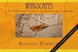 Cover for WingScapes