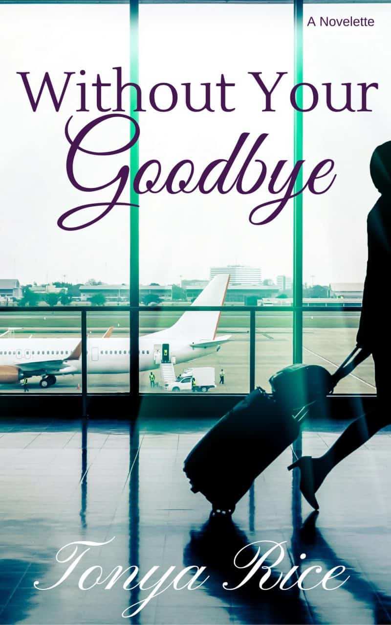 Cover for Without Your Goodbye: A Novelette