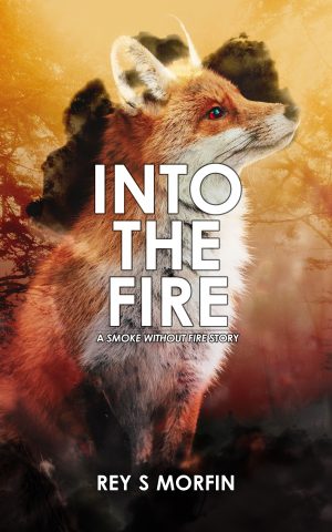 Cover for Into the Fire