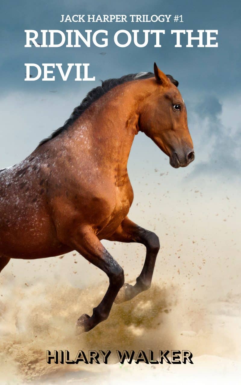 Cover for Riding Out the Devil: The Story of a Wounded Horse Healer