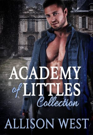 Cover for Academy of Littles