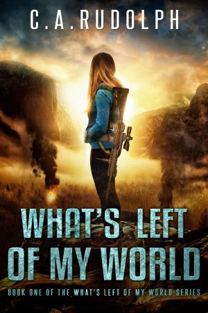 Cover for What's Left of My World