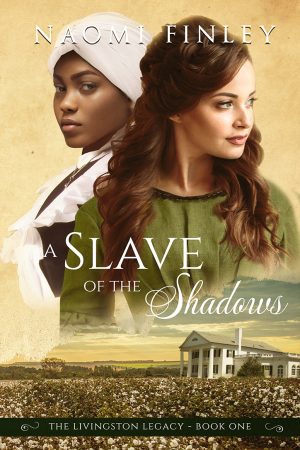 Cover for A Slave of the Shadows