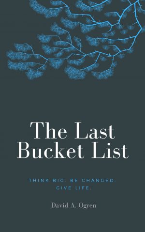 Cover for The Last Bucket List