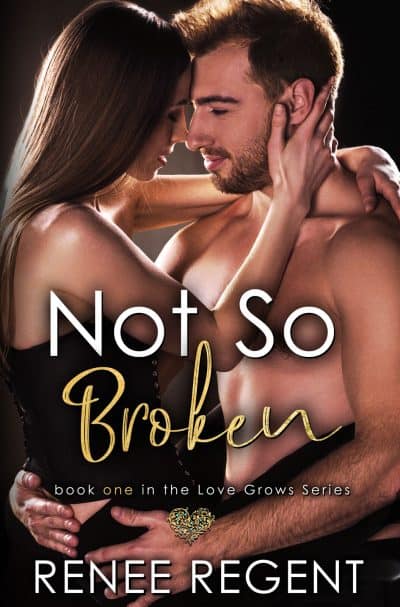 Cover for Not So Broken