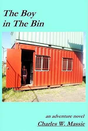 Cover for The Boy in the Bin