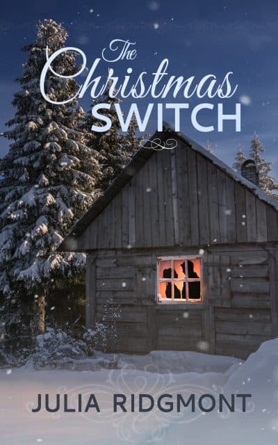 Cover for The Christmas Switch