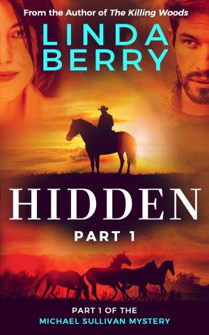 Cover for Hidden Part 1