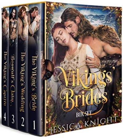 Cover for Vikings' Bride Box Set