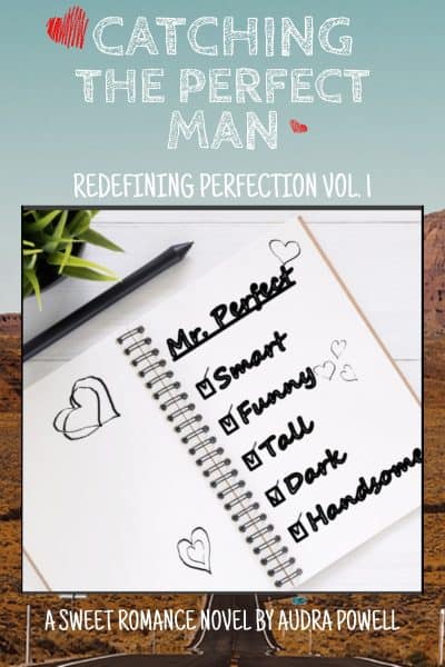 Cover for Catching the Perfect Man