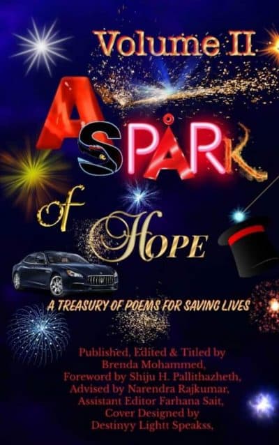 Cover for A Spark of Hope