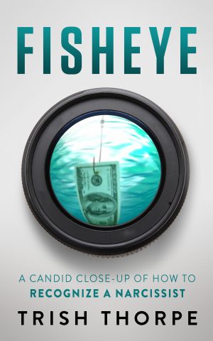 Cover for Fisheye