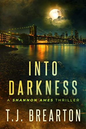 Cover for Into Darkness