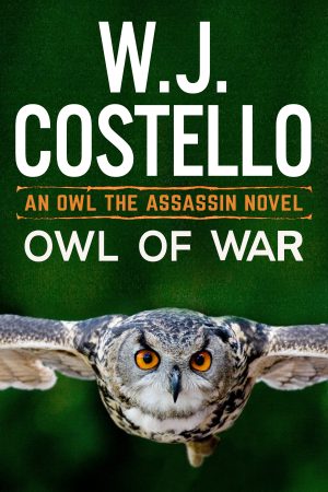 Cover for Owl of War