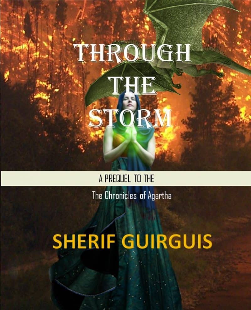 Cover for Through The Storm: The Prequel To The Chronicles of Agartha