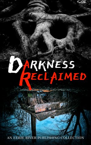 Cover for Darkness Reclaimed