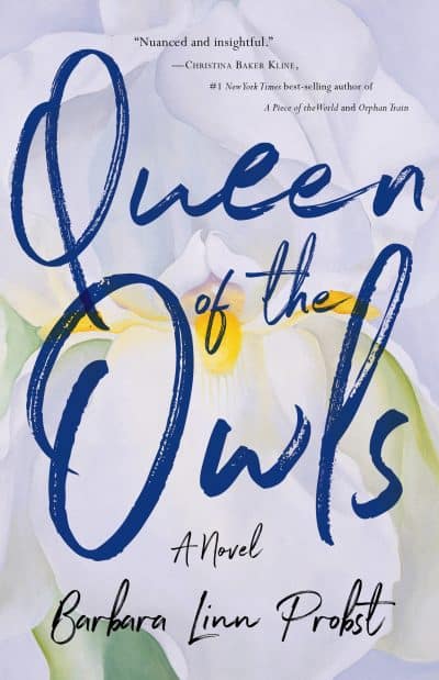 Cover for Queen of the Owls