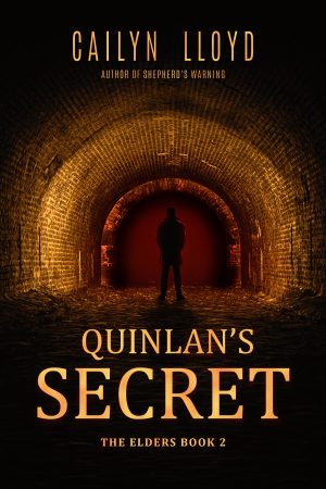 Cover for Quinlan's Secret