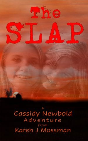 Cover for The Slap