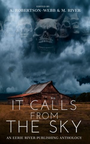 Cover for It Calls from the Sky