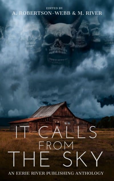 Cover for It Calls from the Sky