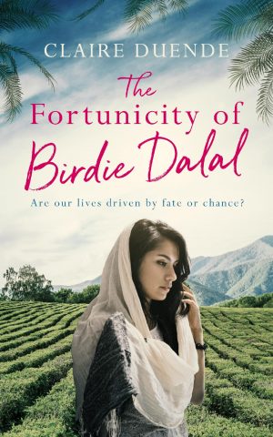 Cover for The Fortunicity of Birdie Dalal