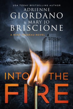 Cover for Into the Fire