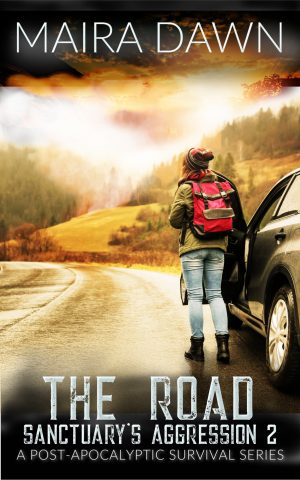 Cover for The Road