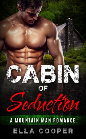 Cover for Cabin of Seduction