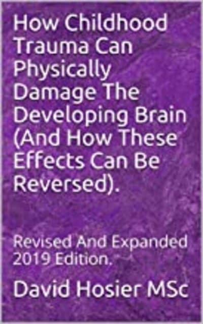 Cover for How Childhood Trauma Can Physically Damage The Developing Brain