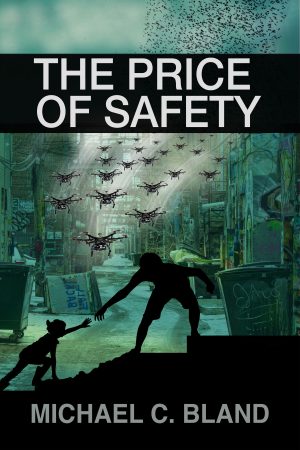 Cover for The Price of Safety