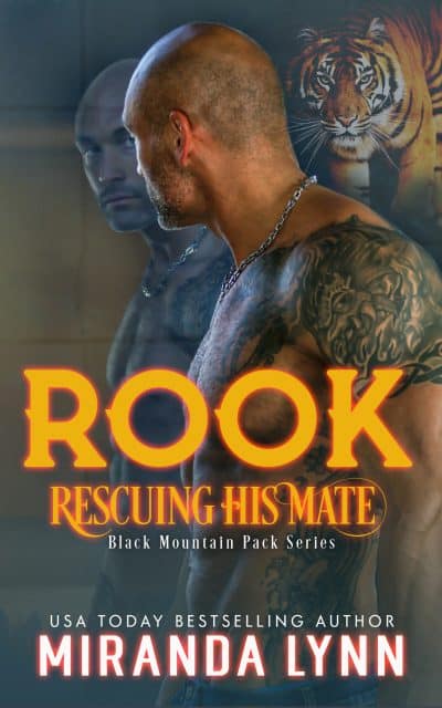 Cover for Rook