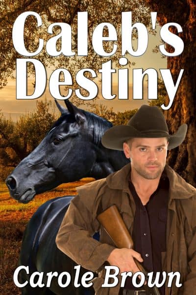 Cover for Caleb's Destiny