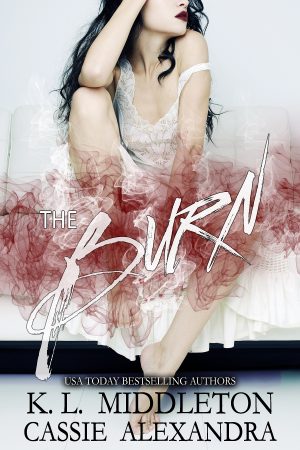 Cover for The Burn