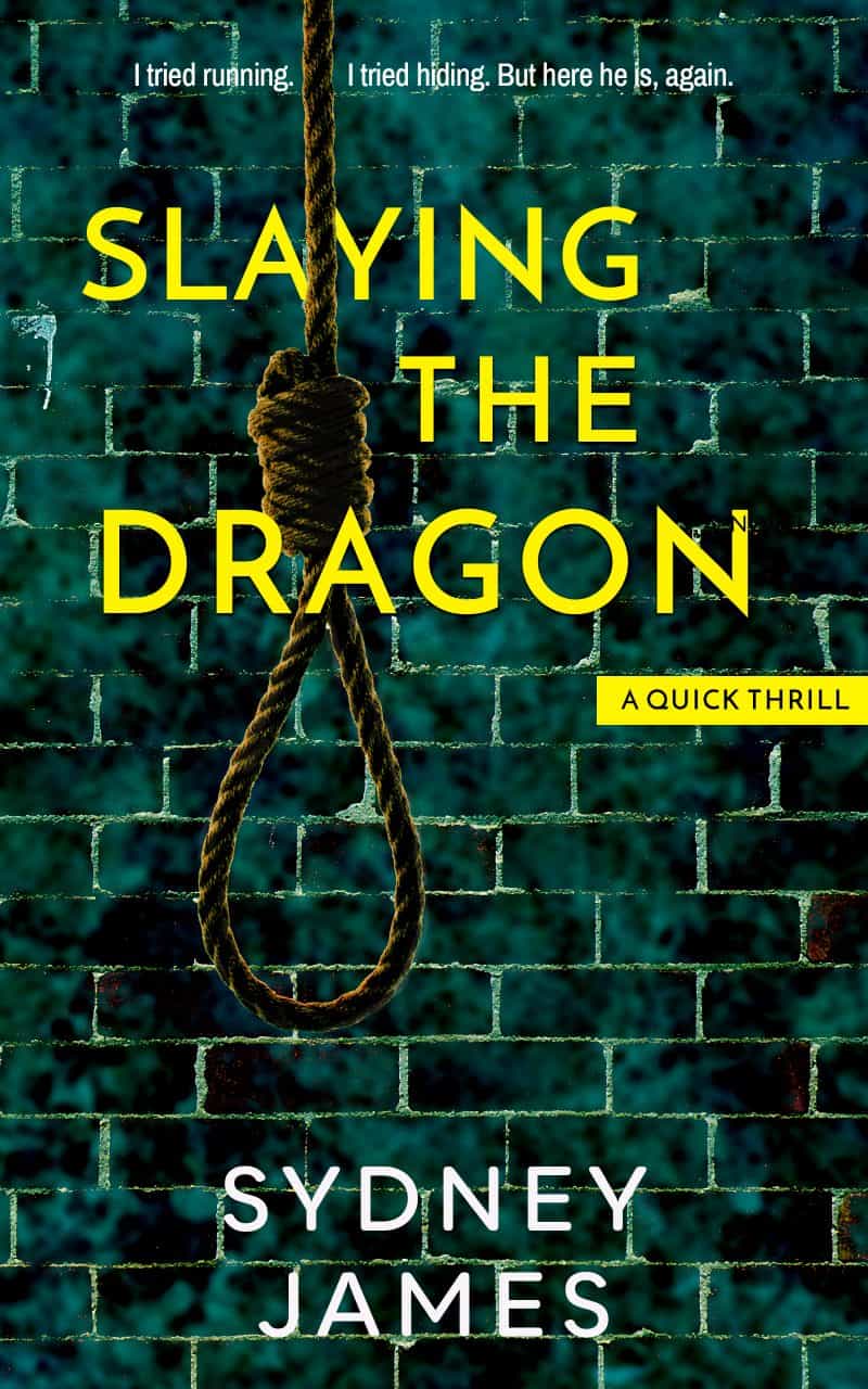 Cover for Slaying The Dragon