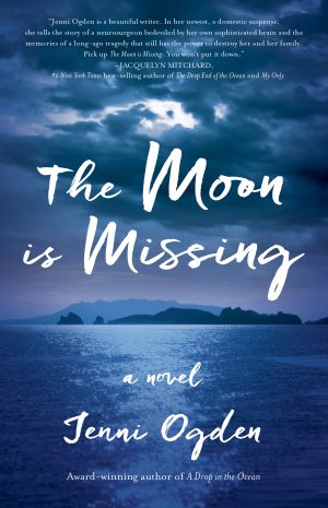 Cover for The Moon Is Missing