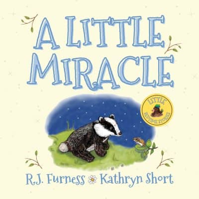 Cover for A Little Miracle