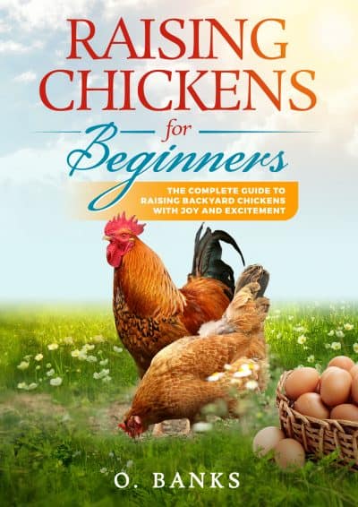 Cover for Raising Chickens for Beginners