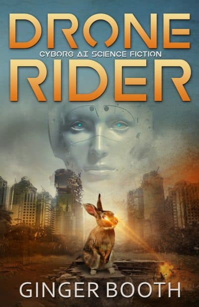 Cover for Drone Rider