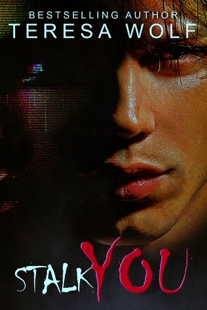 Cover for Stalk You: A Sexy Obsession Romance