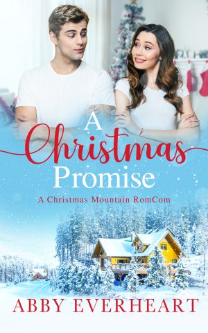 Cover for A Christmas Promise