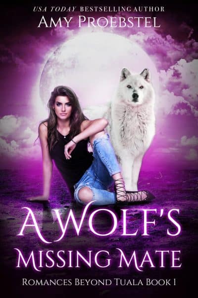 Cover for A Wolf's Missing Mate