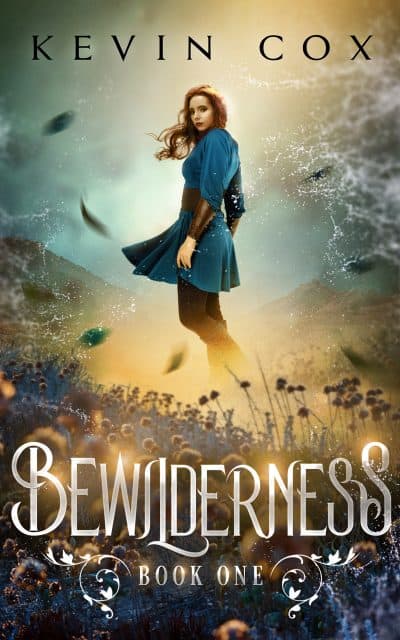 Cover for Bewilderness