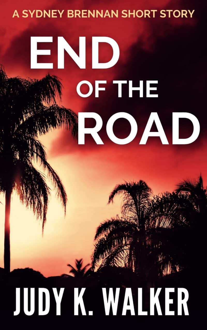 Cover for End of the Road: A Sydney Brennan Short Story