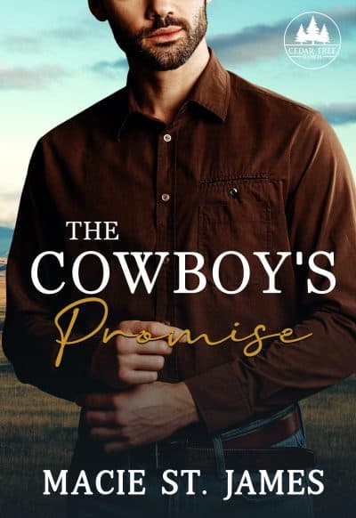 Cover for The Cowboy's Promise