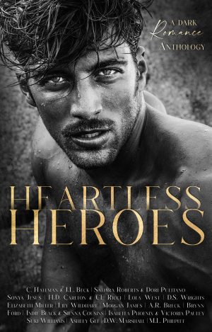 Cover for Heartless Heroes