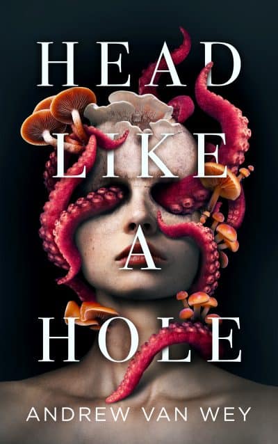 Cover for Head like a Hole