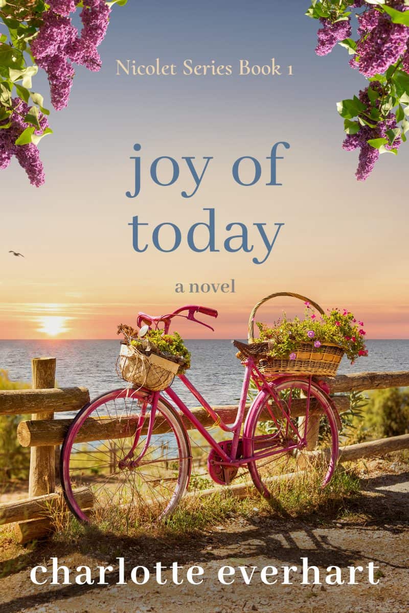 Cover for Joy of Today